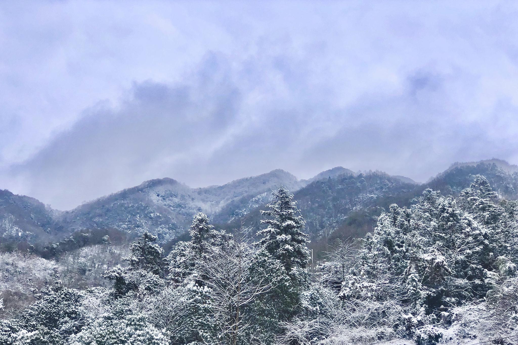 武夷山雪景图片