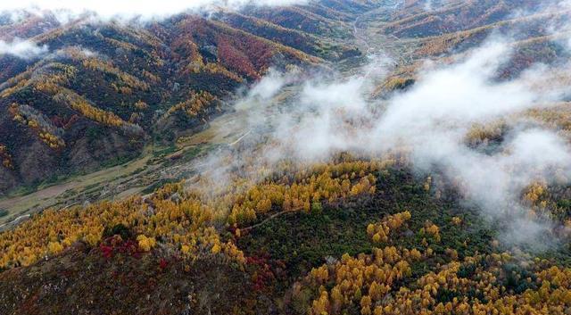 庞泉沟风景图片