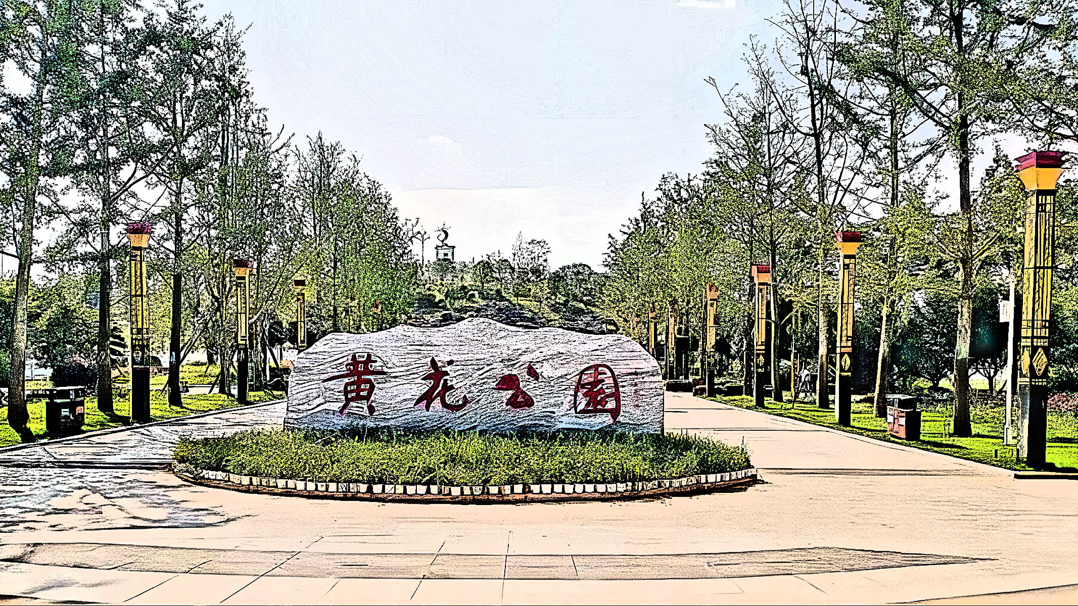 祁东黄花公园,黄花菜的天然保健品 祁东黄花公园位于中国湖南省衡阳市