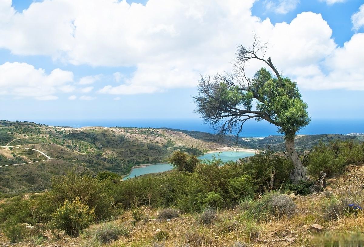 马达加斯加岛探险攻略 马达加斯加岛是一个充满神秘和奇幻色彩的地方