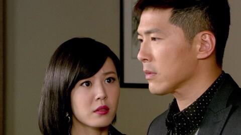 《爱情不打烊》:沈晓君的坚韧与勇气 《爱情不打烊》是一部充满情感