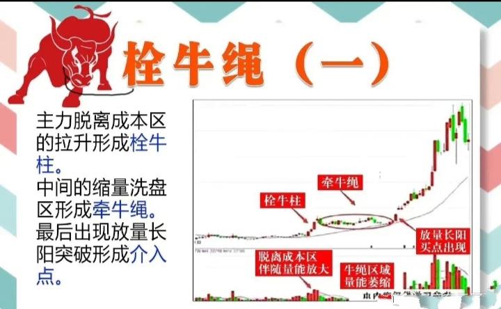 掌握牵牛绳,轻松捕捉底部介入时机 股价在底部阶段出现一波放量上涨后