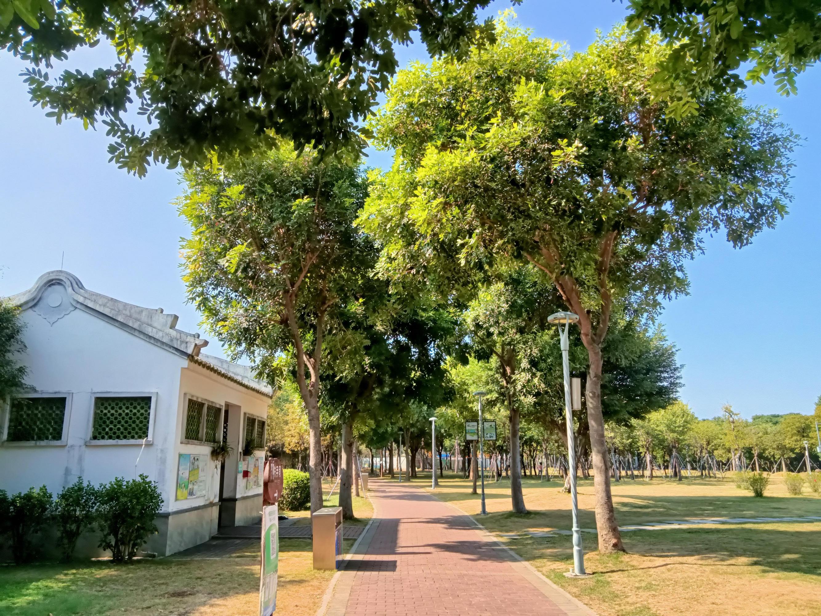 汕头北郊公园:初冬野营好去处 南国的初冬,阳光和煦,蓝天白云美得醉人