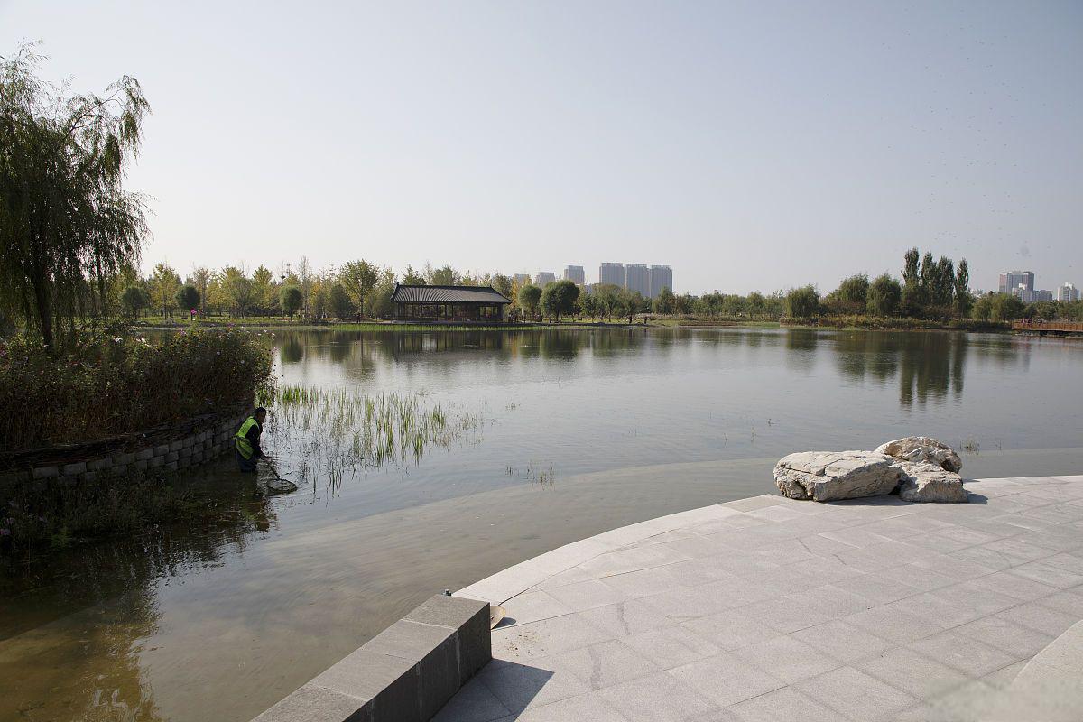 大港公园,城市中的绿色世界 大港公园,位于中国天津市滨海新区,是该