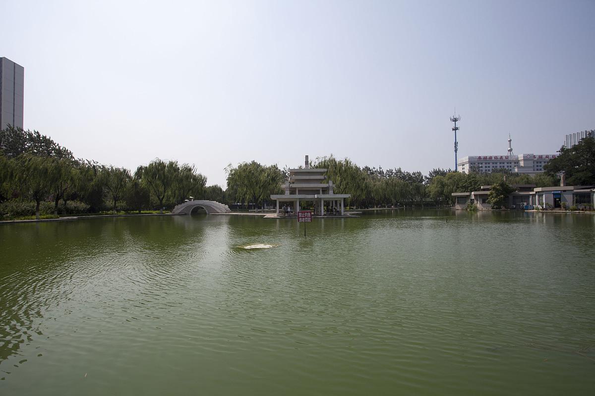 大港公园,城市中的绿色世界 大港公园,位于中国天津市滨海新区,是该