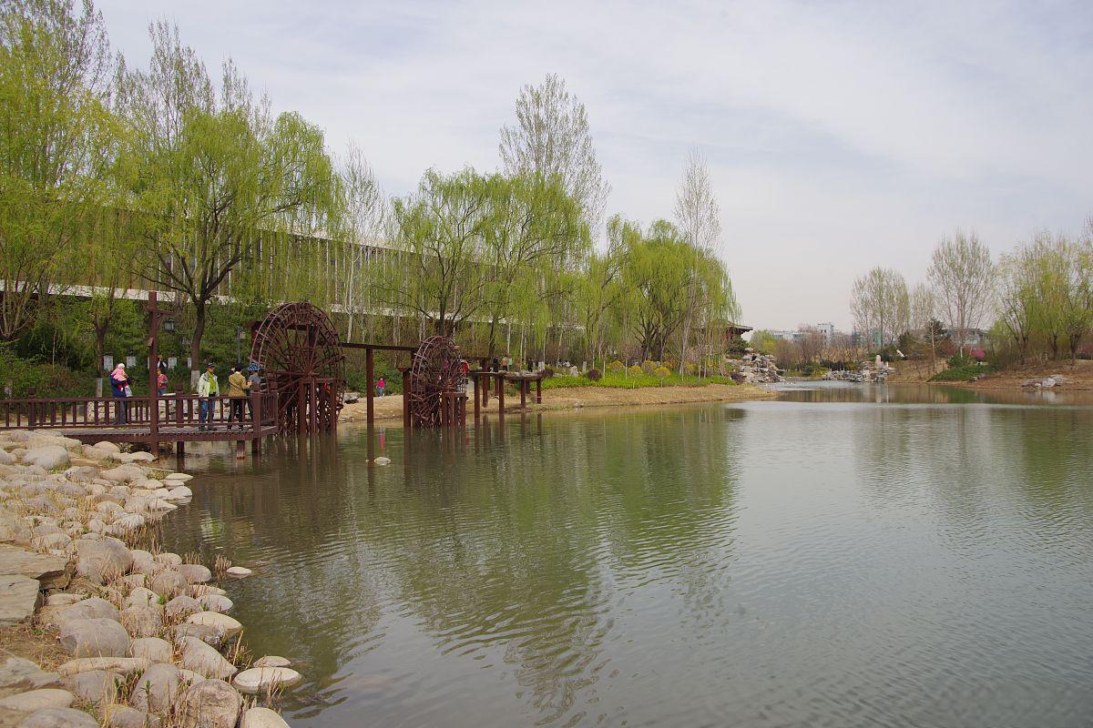 大港公园,城市中的绿色世界 大港公园,位于中国天津市滨海新区,是该