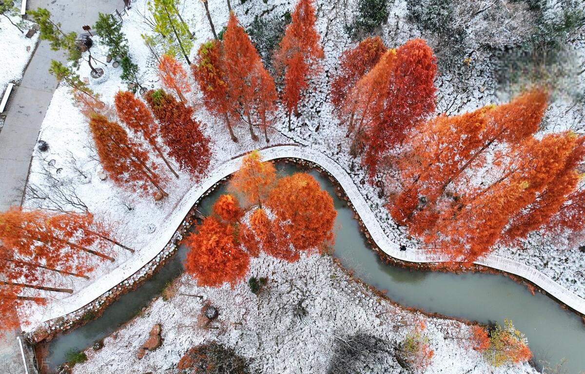 扬州雪景高清图片图片