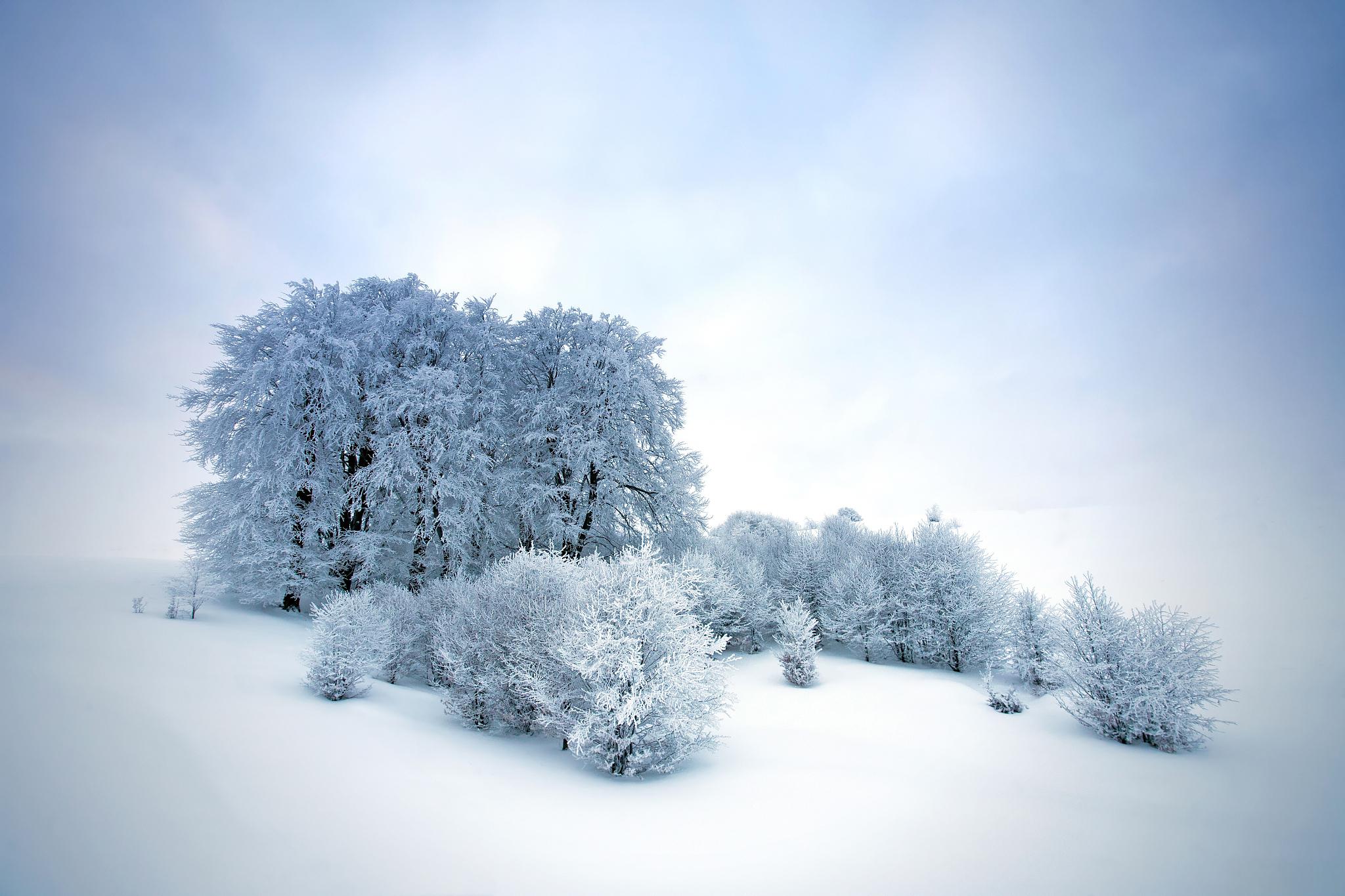 冬日冰雪漫游季 冬季