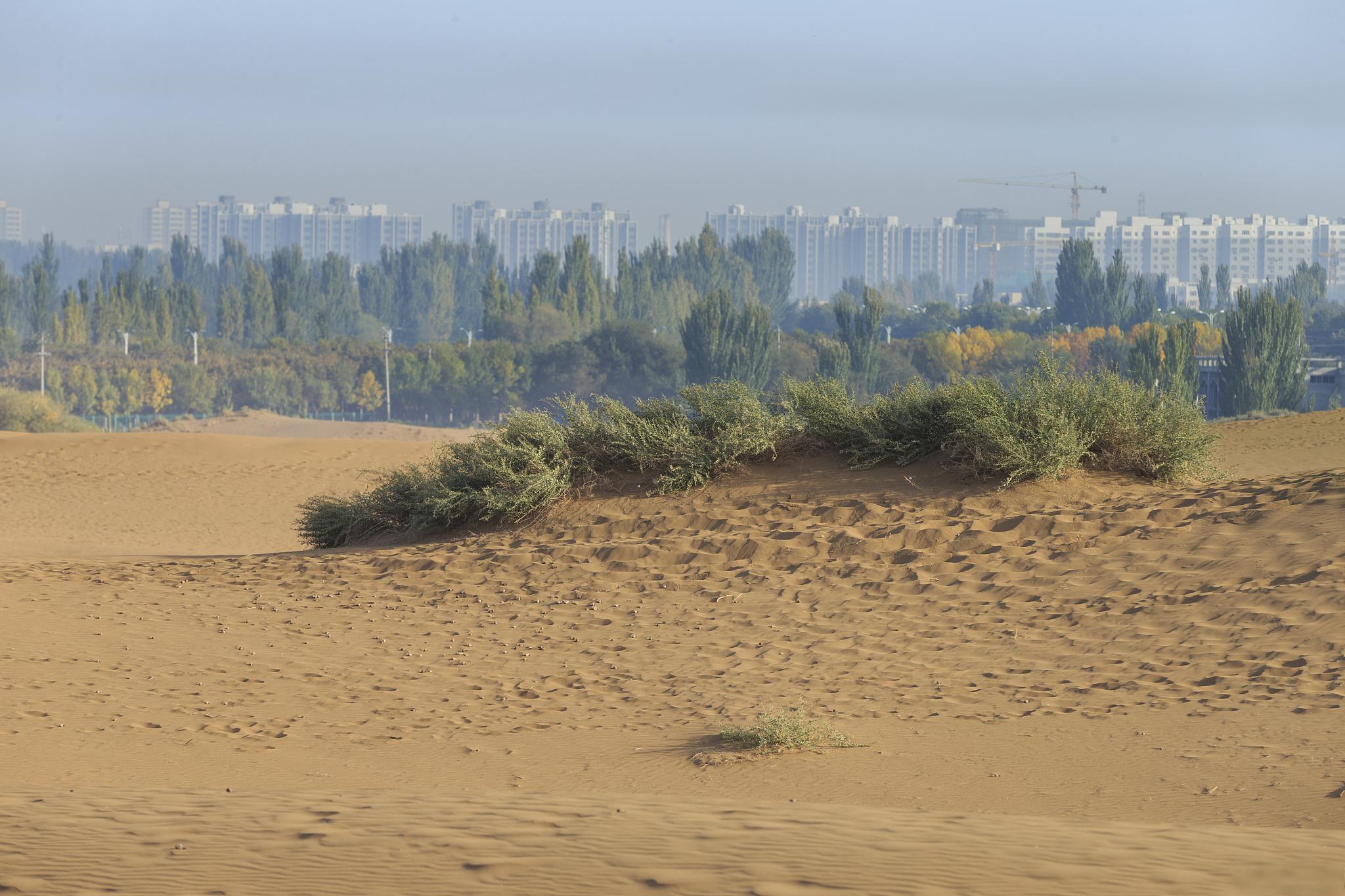 玛干沙漠 塔克拉玛干沙漠,位于中国新疆维吾尔自治区塔里木盆地中心