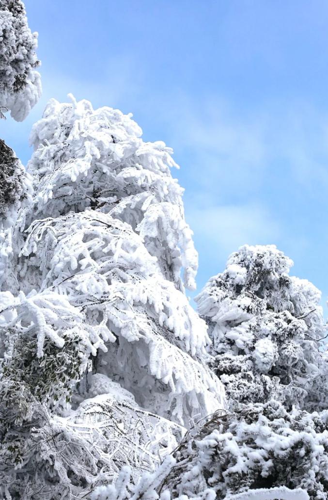 衡山的雪景图片