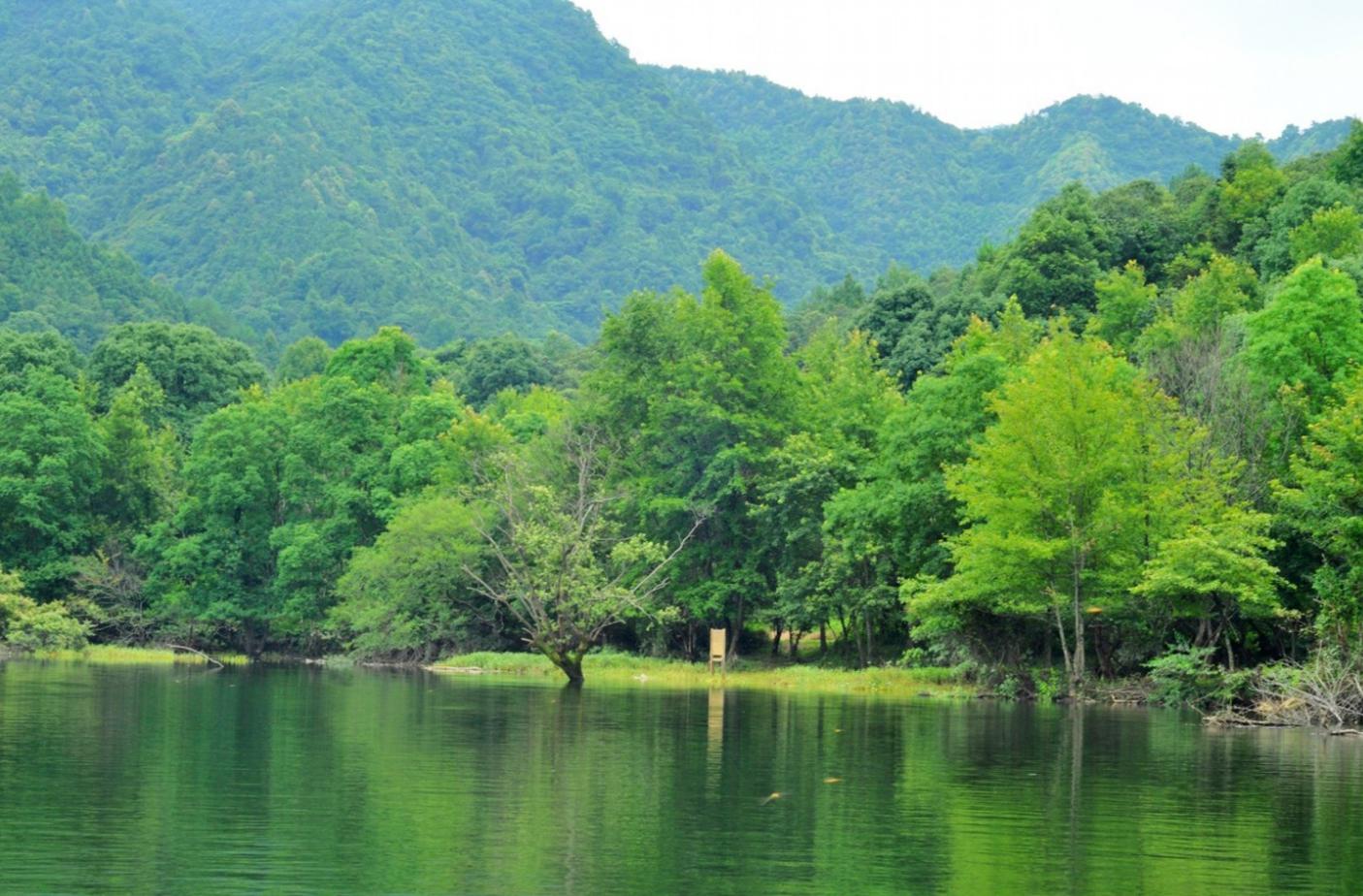 江西永修龙源峡门票48元,值得一游吗?