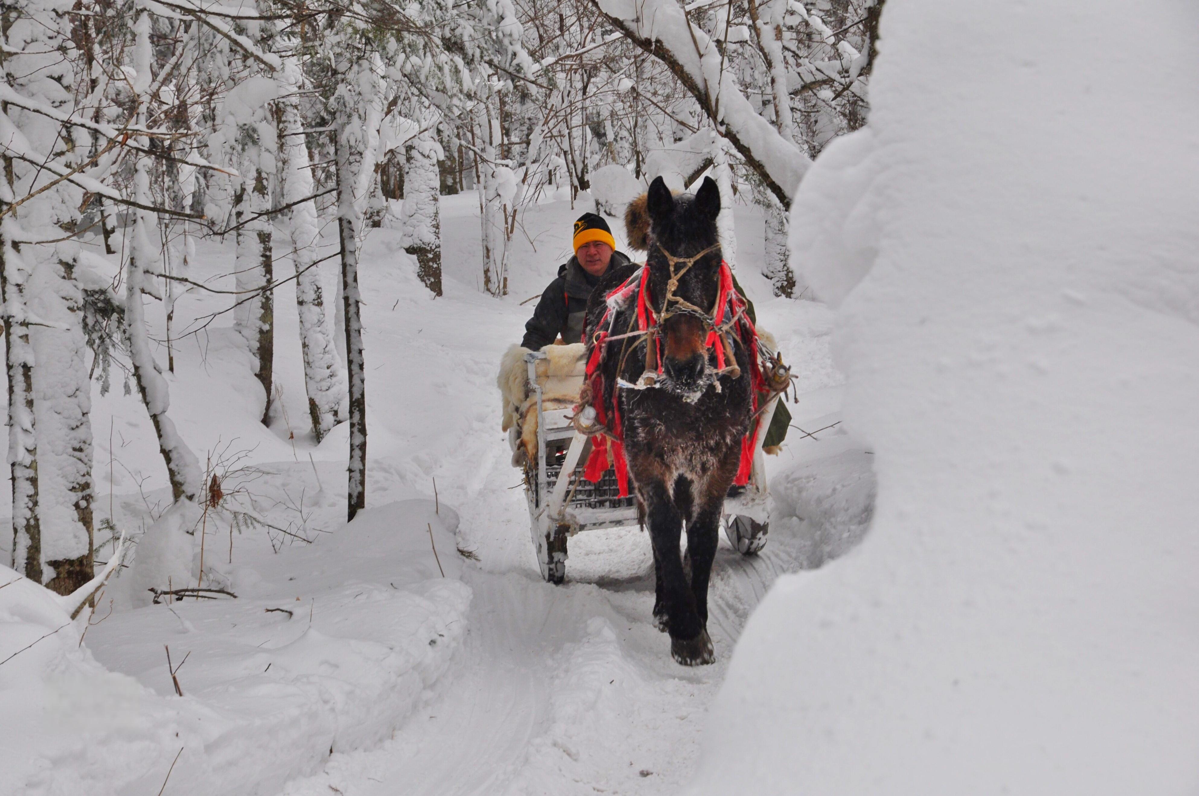 冰雪图片高清图片