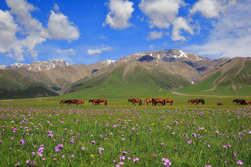 伊犁,塞上江南的风情之地 伊犁,位于中国西北部,新疆维吾尔自治区西部