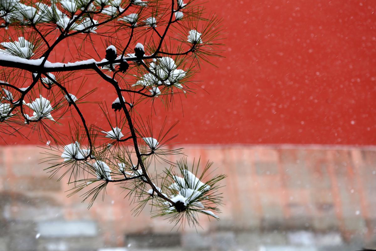 电脑壁纸故宫雪景图片