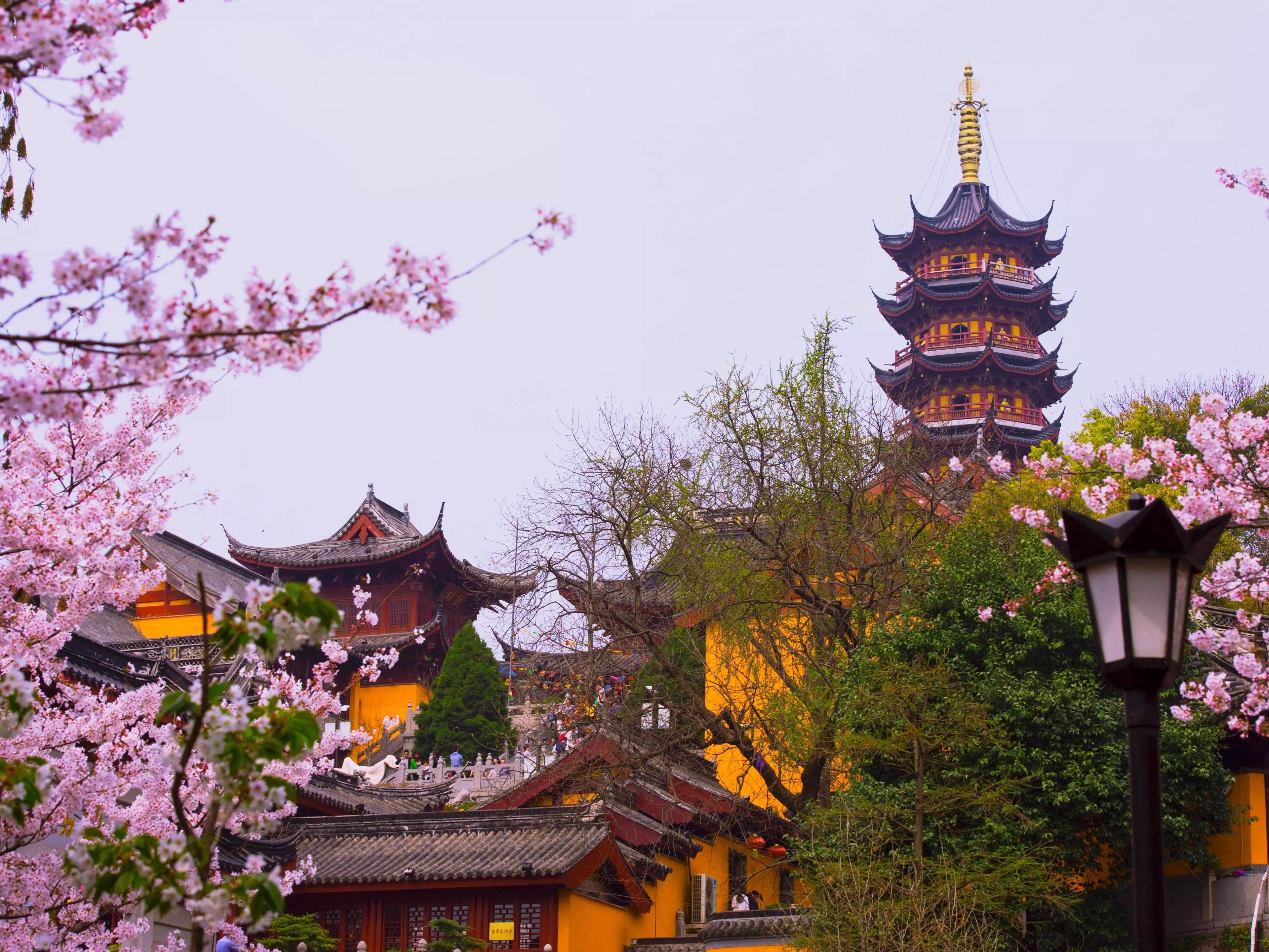鸡鸣寺的樱花:希望,繁荣与禅意 鸡鸣寺,位于南京市玄武区鸡笼山东麓山