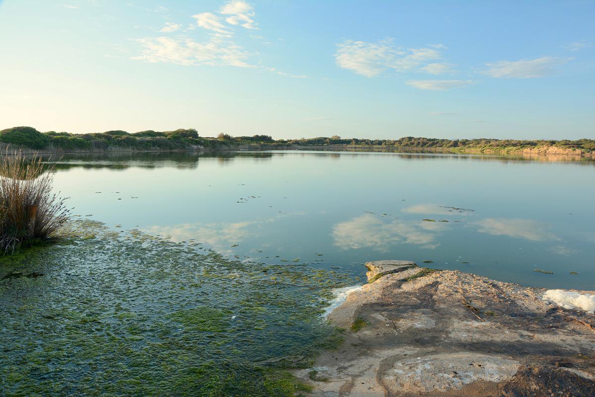 白山湖,江南明珠 白山湖,一个位于中国江西省的天然湖泊,被誉为"江南