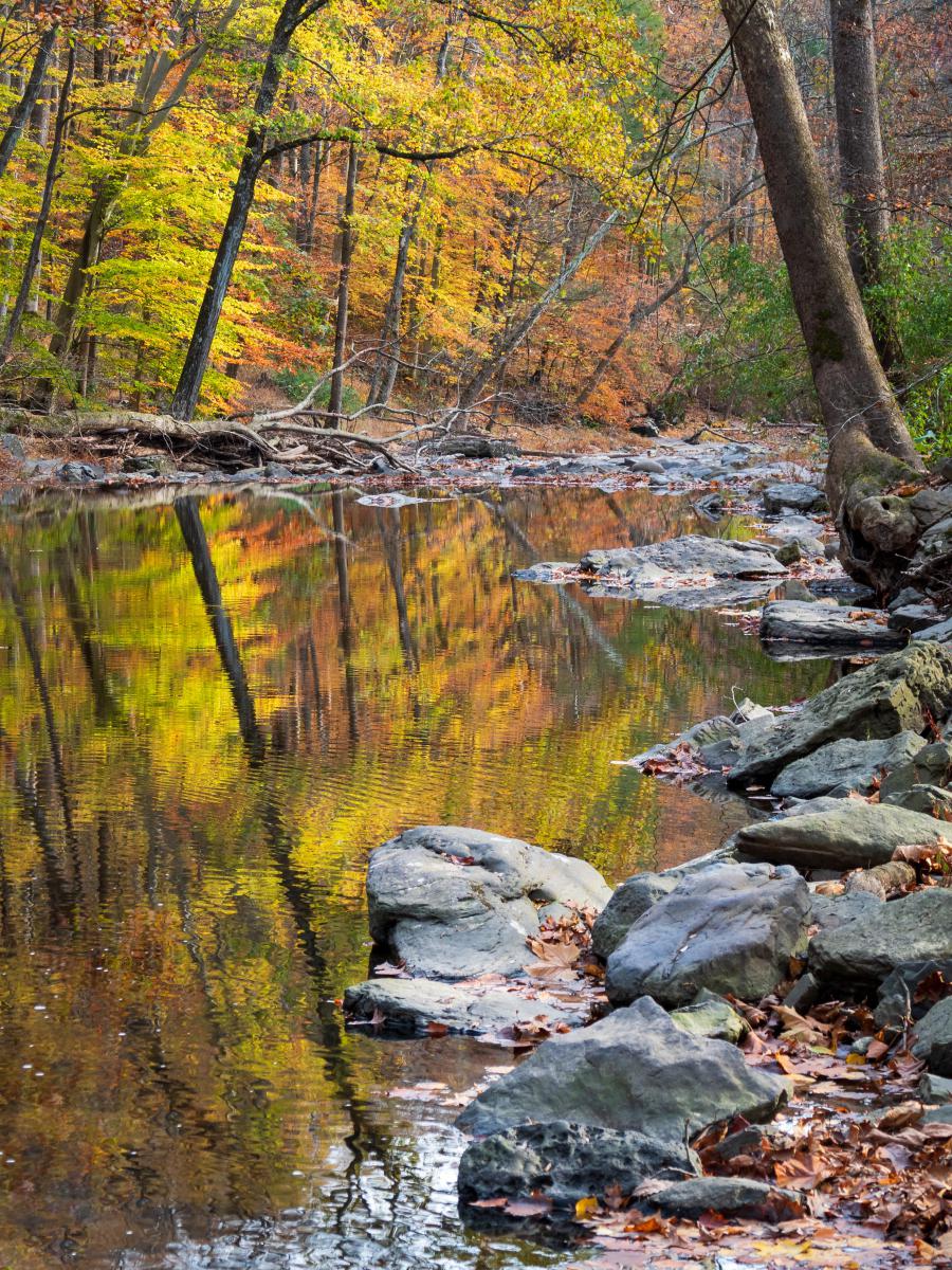 深秋的河流 深秋的河流,宛如一幅泼墨山水画,浓墨重彩地描绘着秋天的