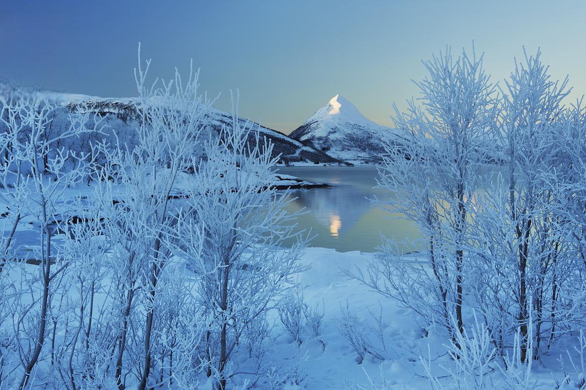 目的地自然也都不一样,比如有的人为了看冬天最美的雪景,有的人是为了