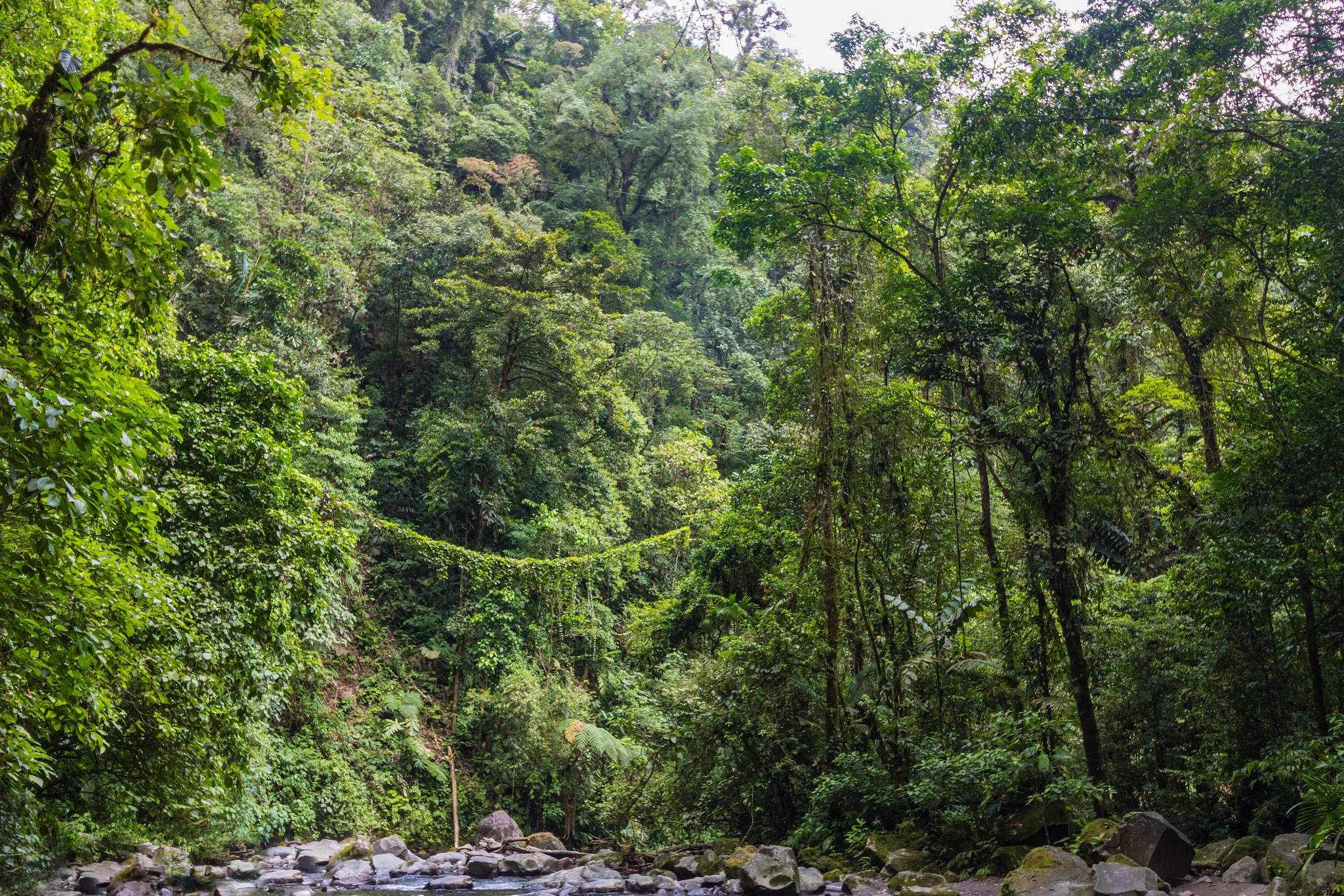 琼中县旅游景点推荐 琼中黎族苗族自治县是中国海南省下辖的一个自治