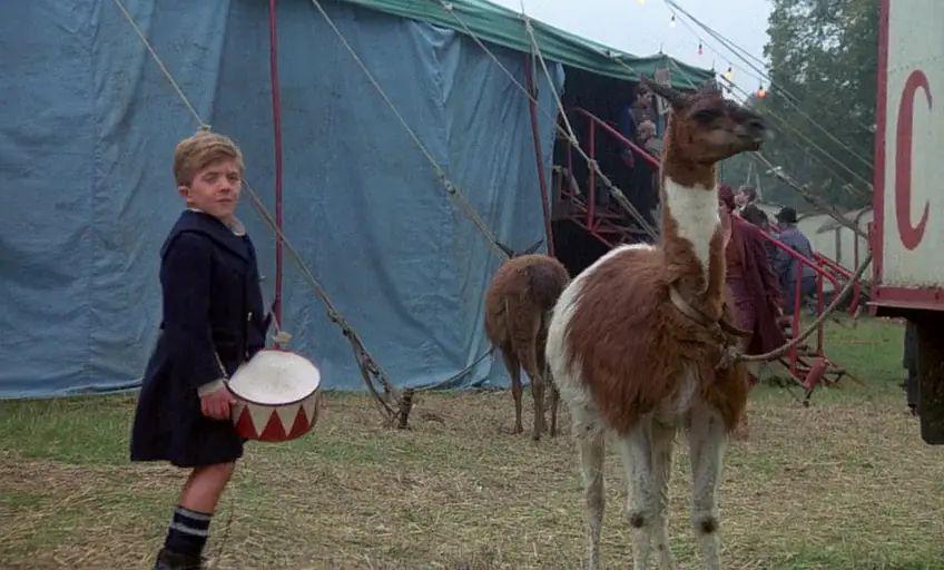 《铁皮鼓》:历史反思的政治影片 《铁皮鼓》是一部特殊的政治影片