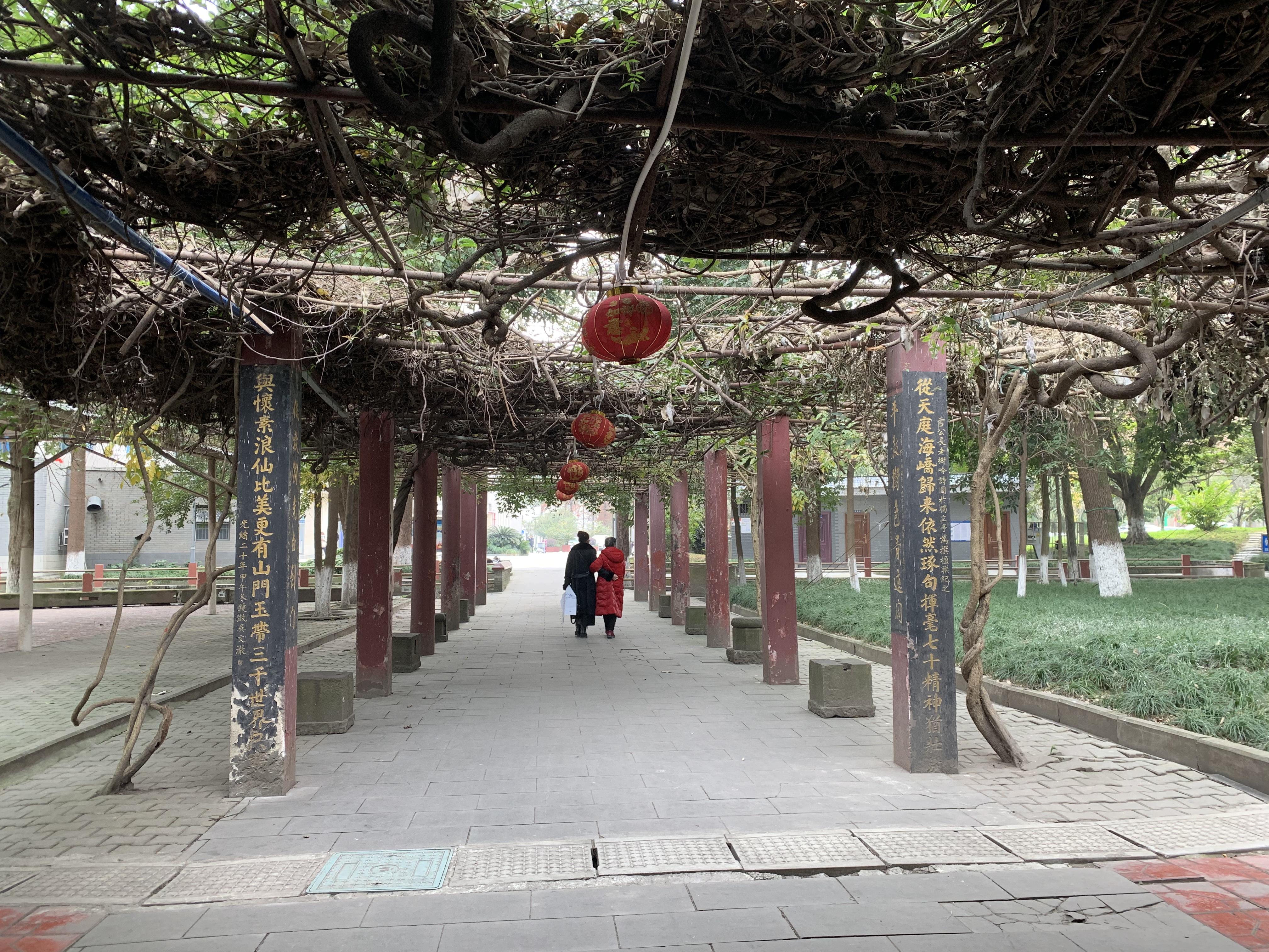 唐代千年古寺  川西文化禅丛 本文将带你探寻成都市新都区新繁镇唐代