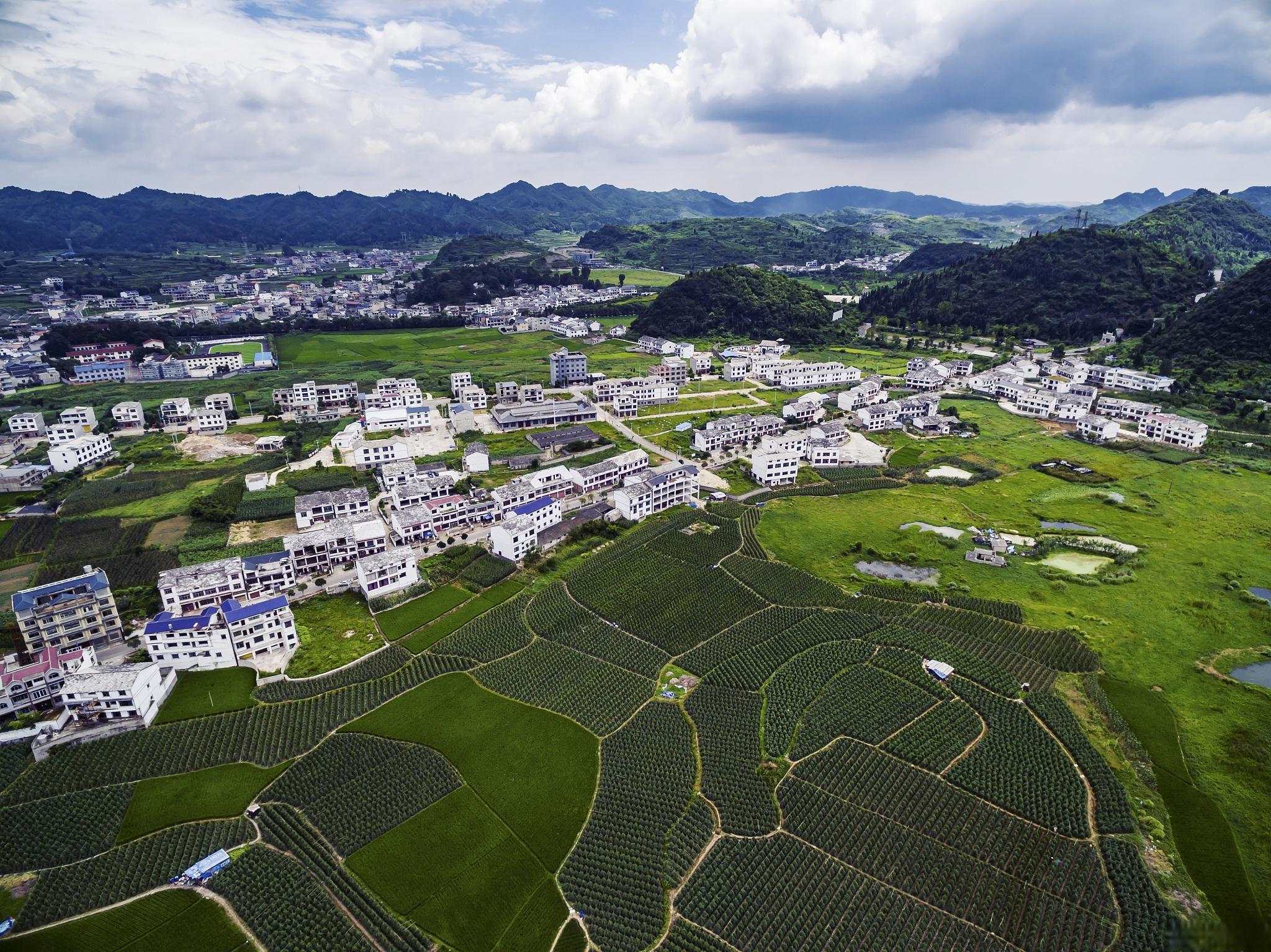 龙里大草原旅游攻略图片