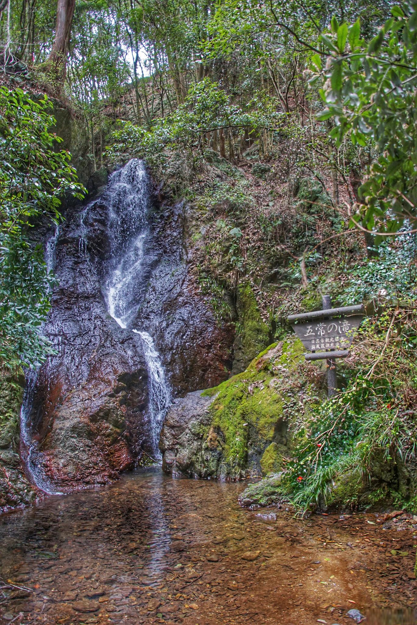 12月份去红河谷一天的游玩攻略 红河谷位于中国云南省,是一个以自然