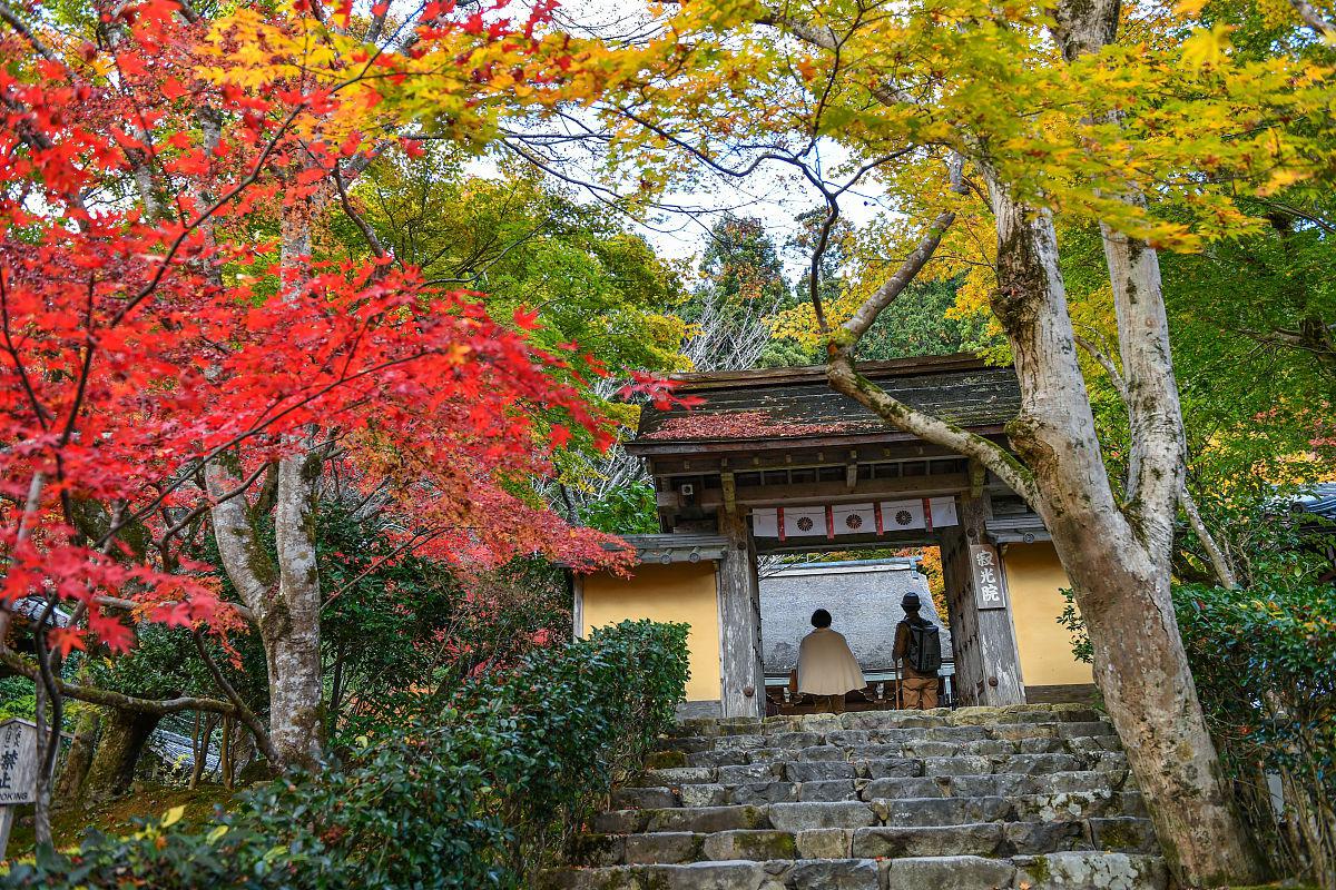 上海福泉古寺秋季旅游攻略 如果你想感受古色古香的寺庙之美,同时享受