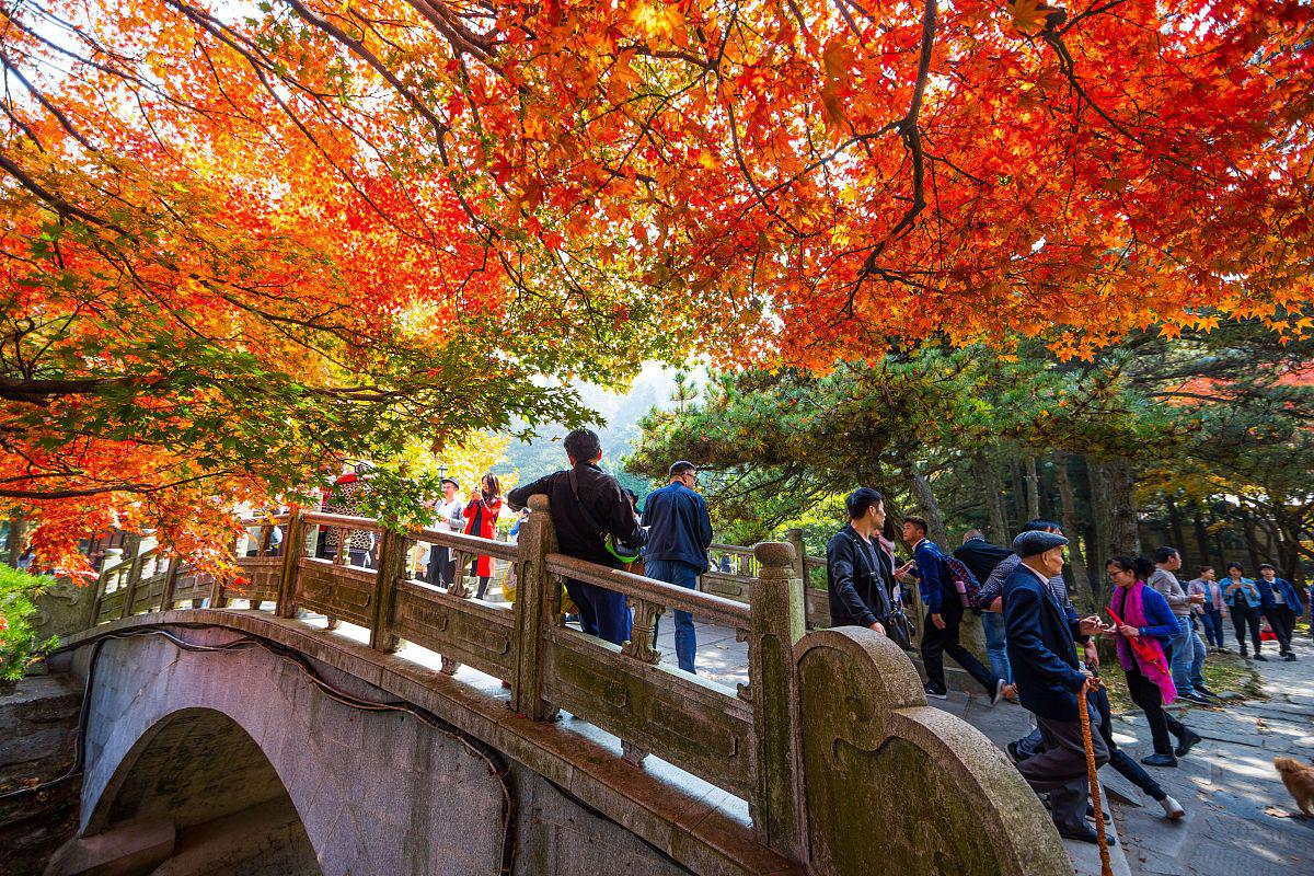 庐山秋天的美 秋天,这个季节赋予了庐山一种独特的美,壮美与恬静并存