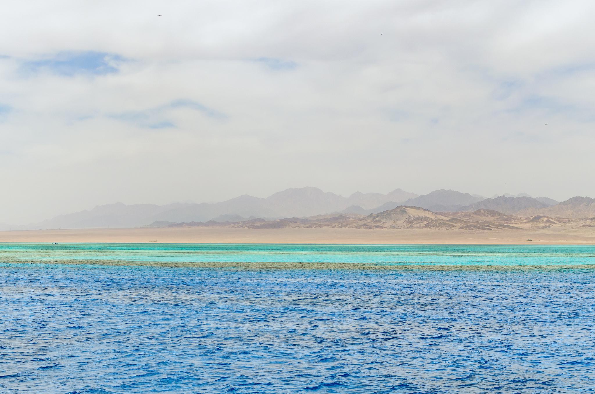 湖水清澈见底,鱼儿在水中嬉戏.