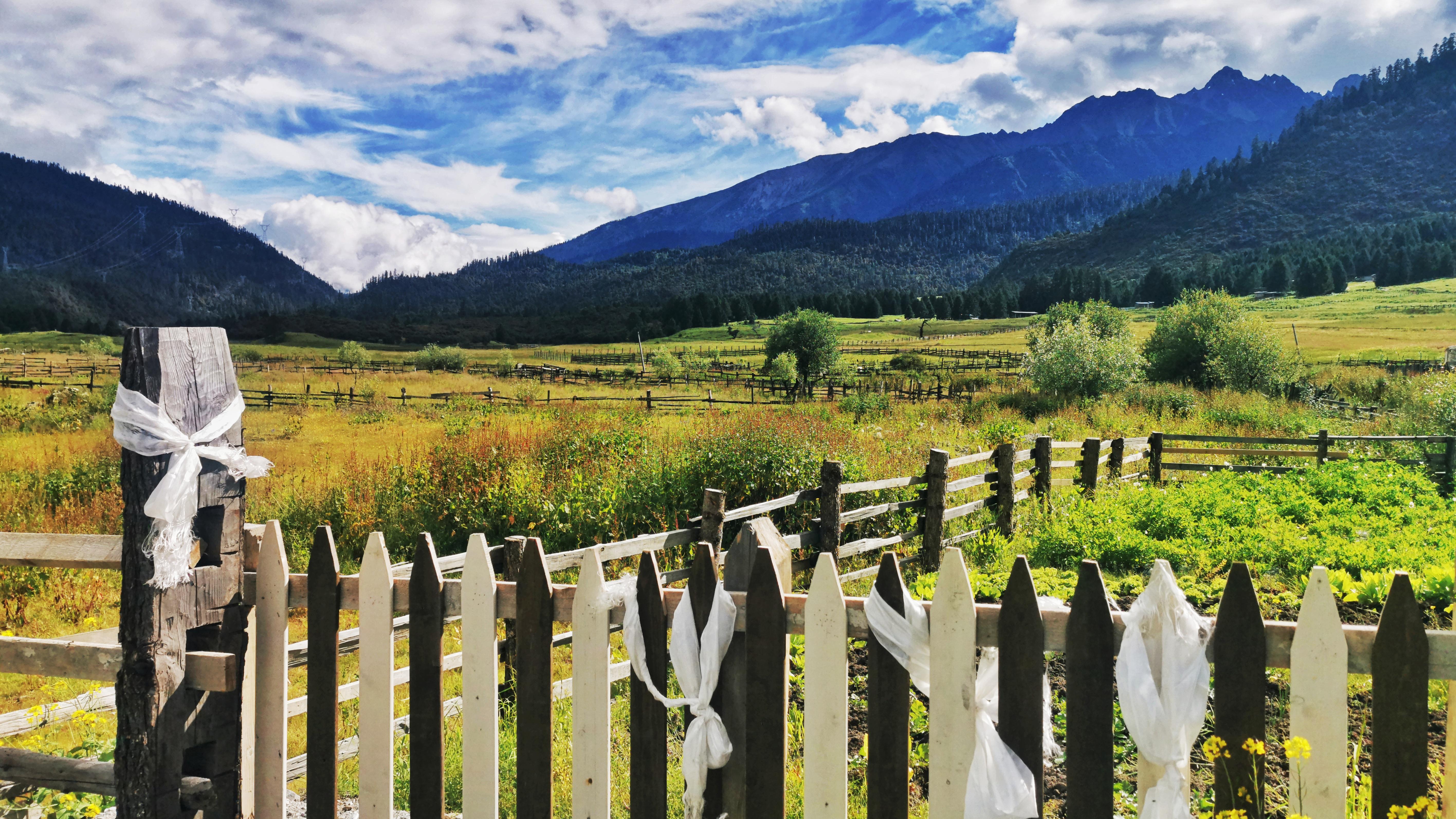 鲁朗小镇,藏区的田园风光 9015原始山林清新的田园风光 世界的