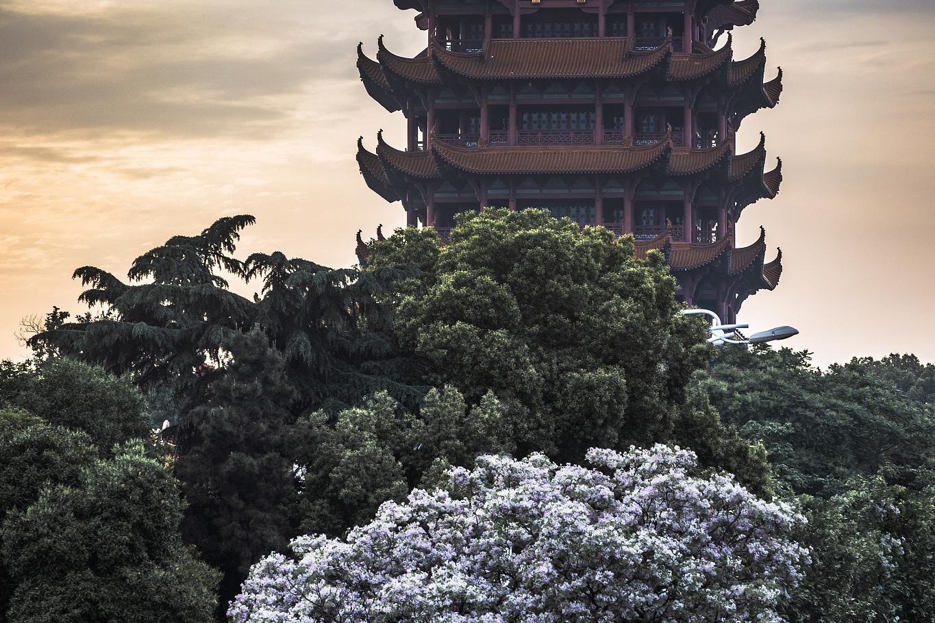 黄鹤楼夜景壁纸图片