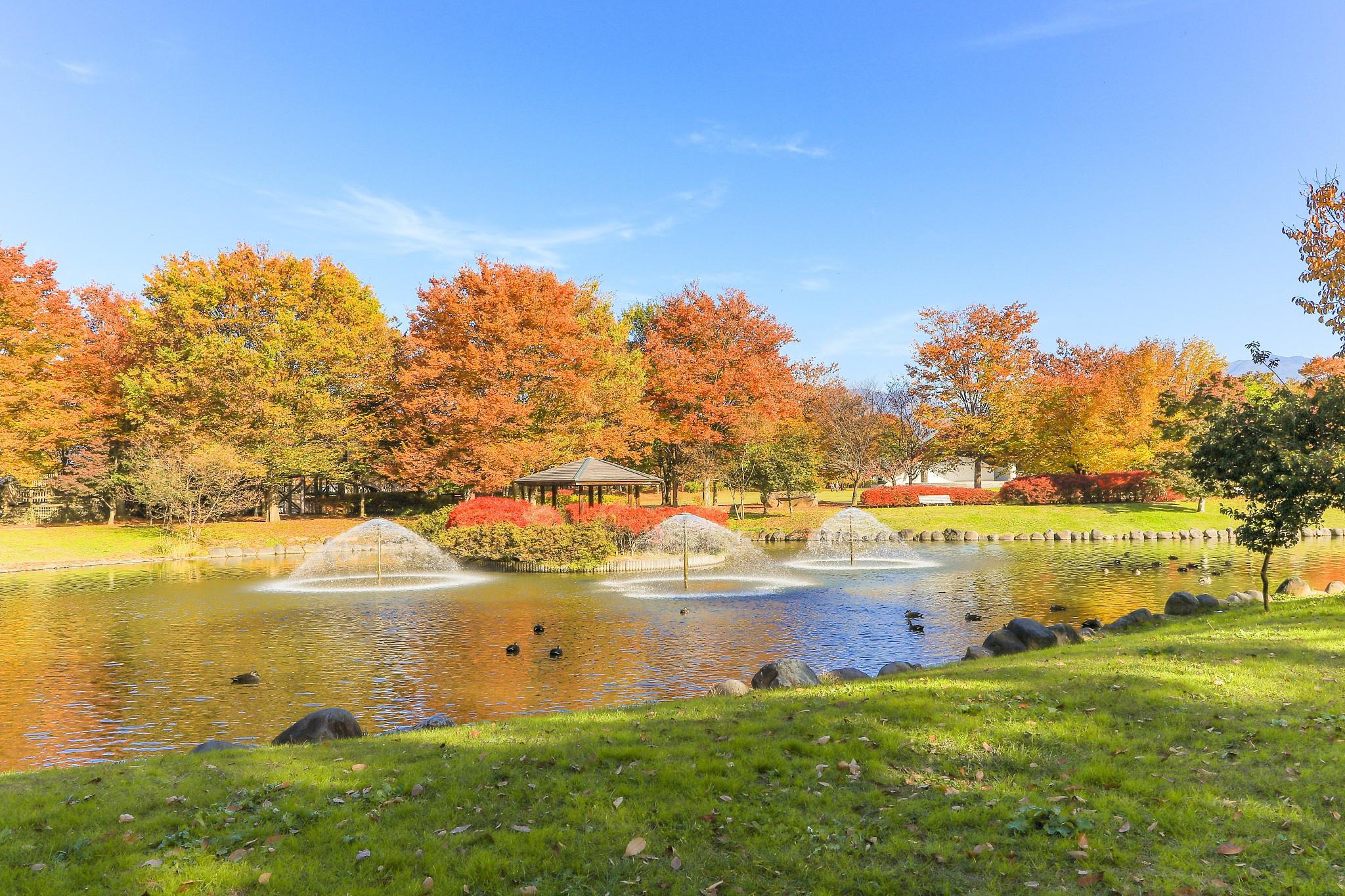 魁北克城:历史,文化与自然美景的完美融合 在加拿大的东海岸,魁北克城