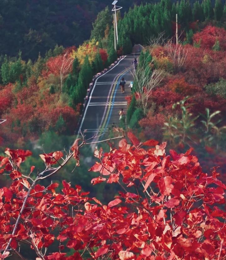 巩义长寿山风景区简介图片