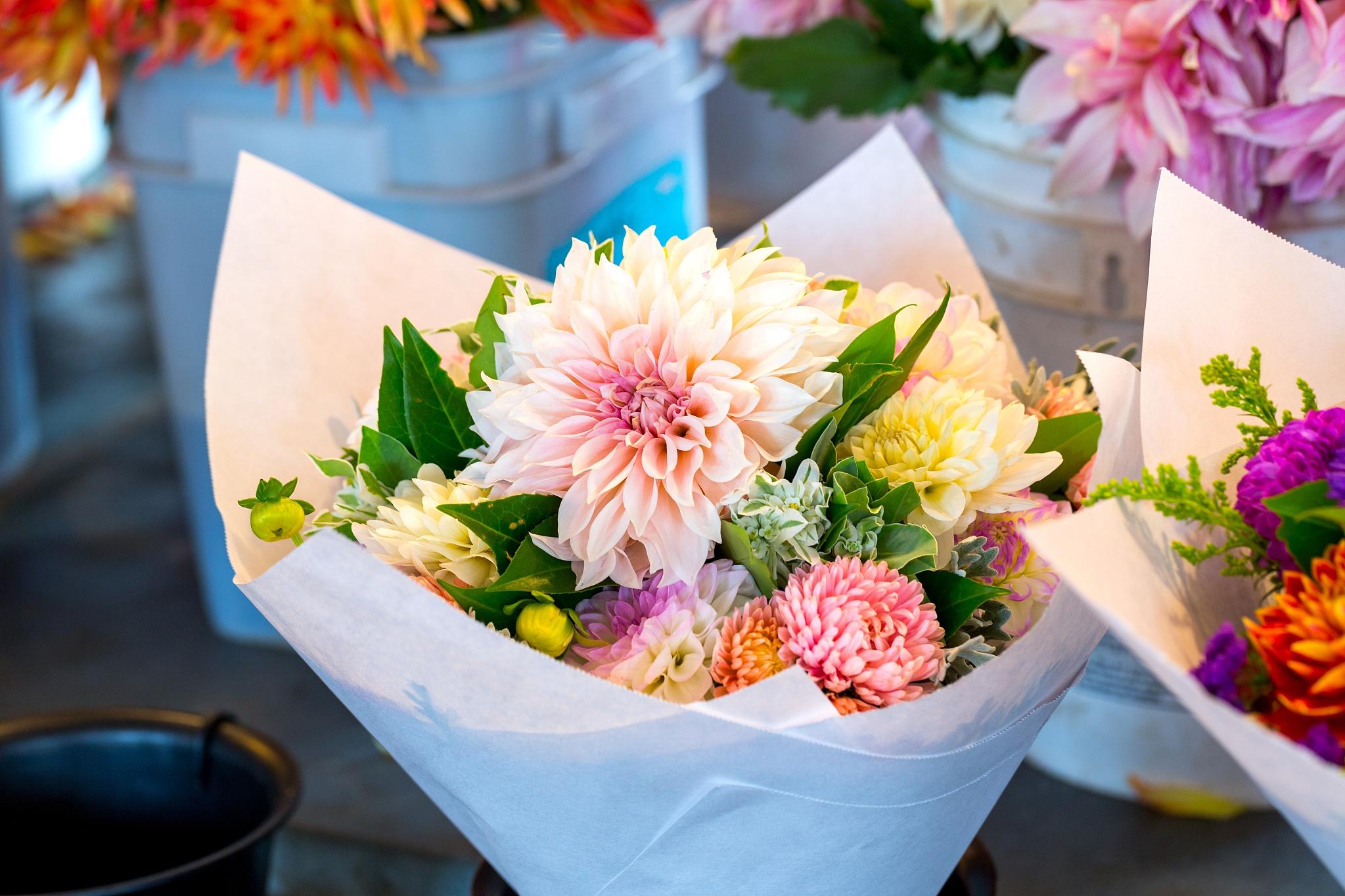 姐妹生日送花,这样选最合适 姐妹是我们一生中最亲近的人之一,她们与