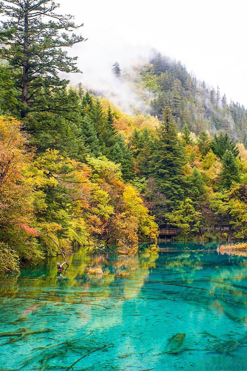 九寨沟,一场与自然的约会 九寨沟是中国四川省的一座著名风景区,位于