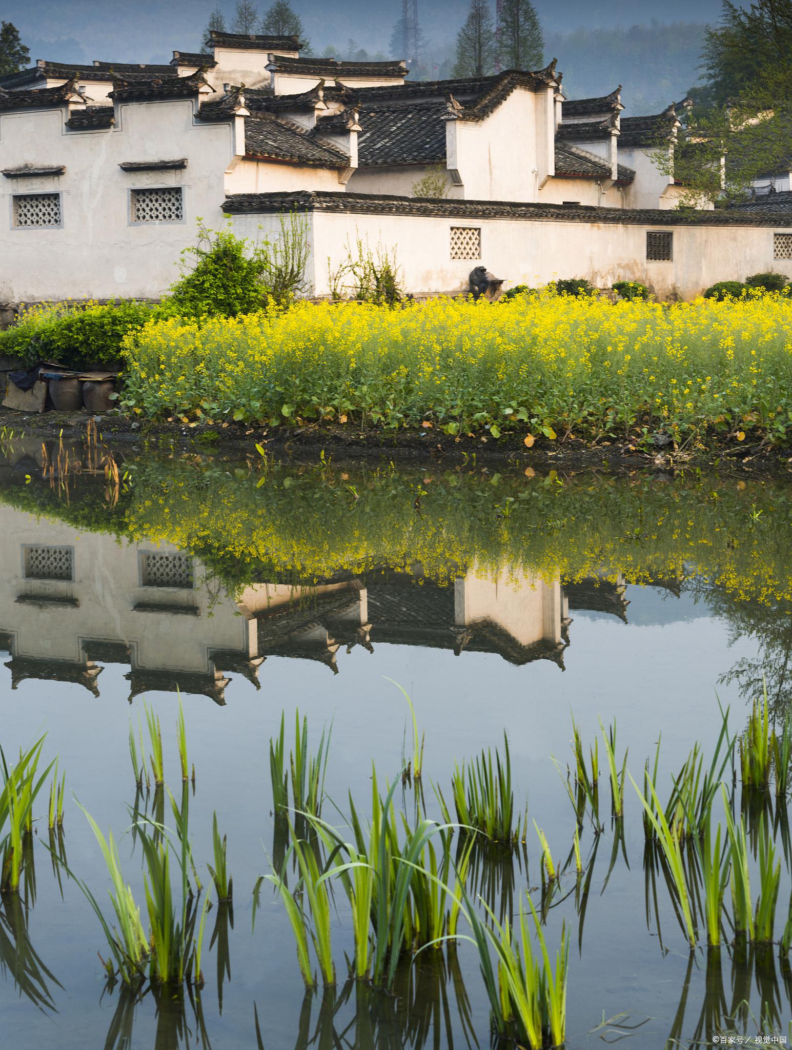 安徽农村景色图片