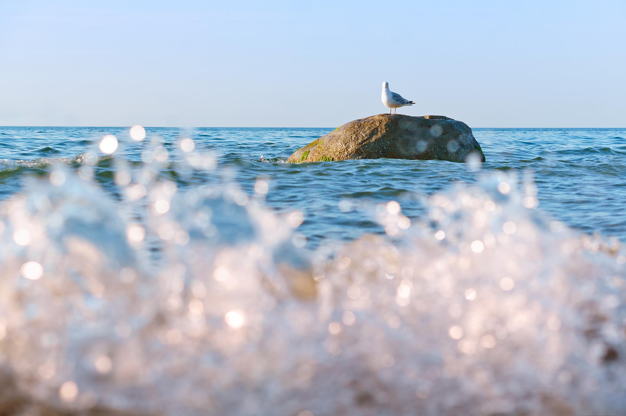 龙海镇海角图片