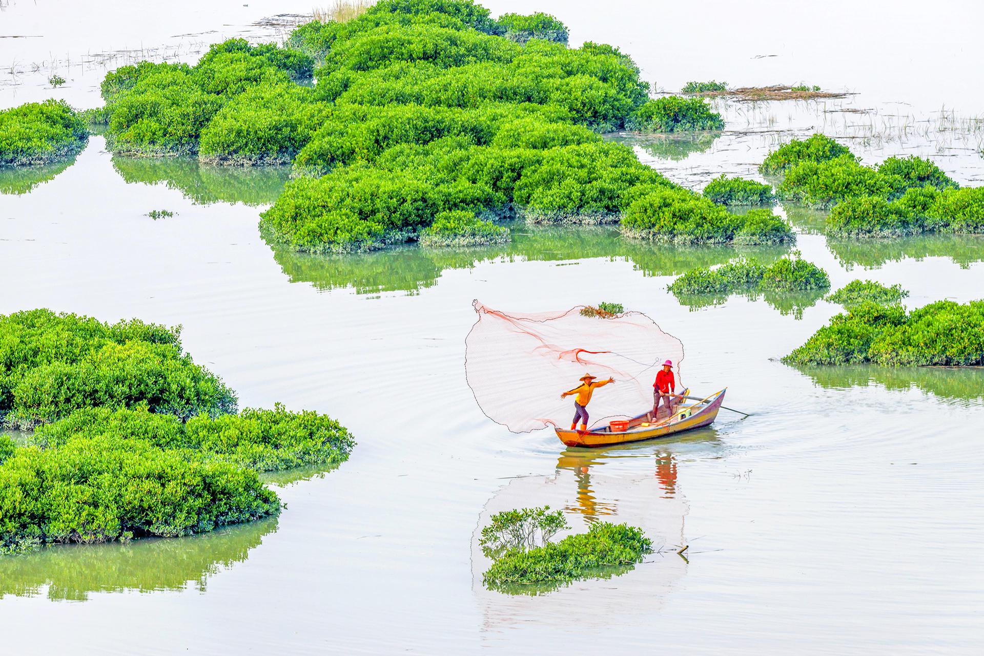 鹅湾红树林,自然之美与人文景观的完美融合 鹅湾红树林,位于霞浦县