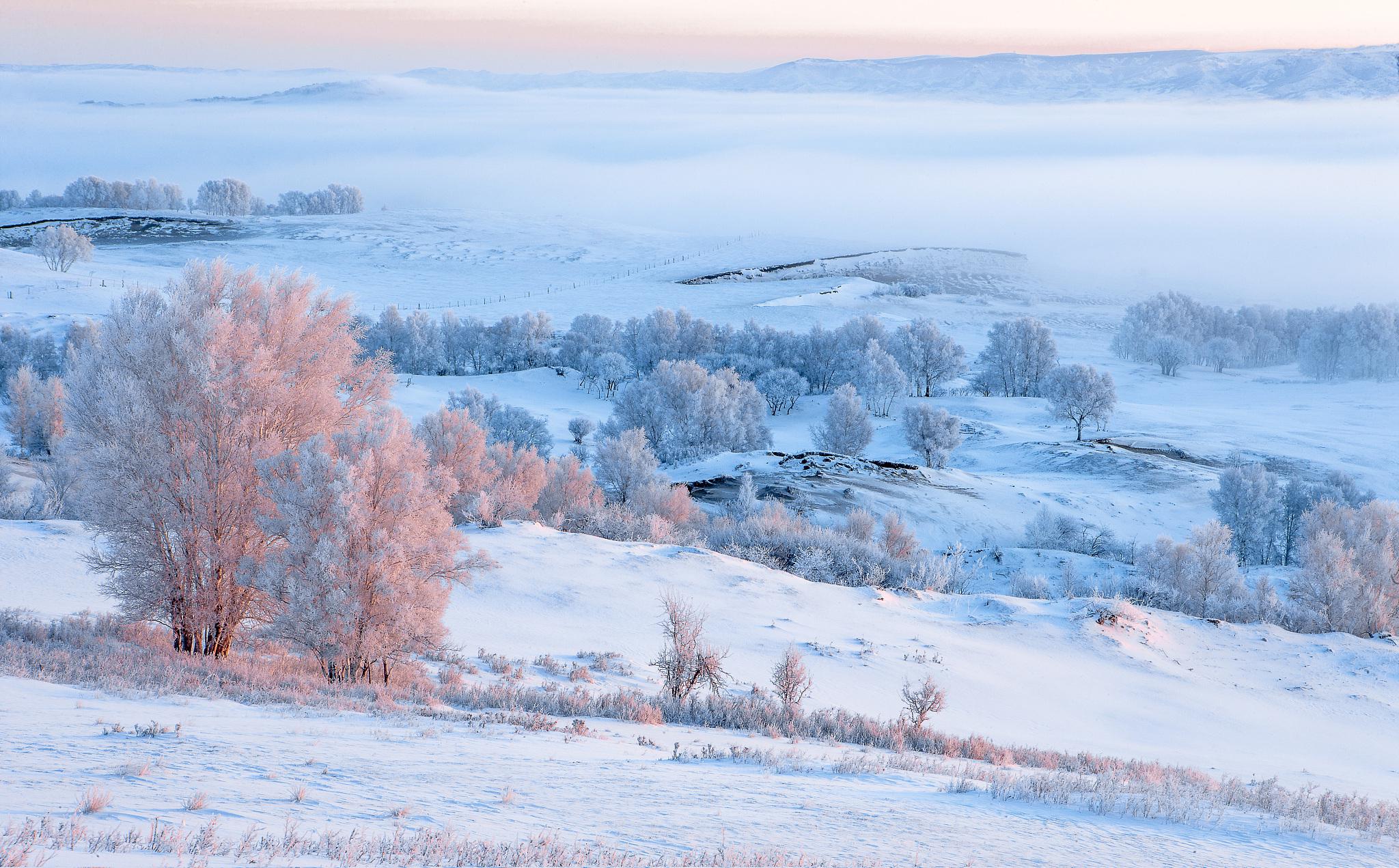 雪后的黑龙江,美得如诗如画 一场大雪过后,黑龙江的景色犹如一幅幅
