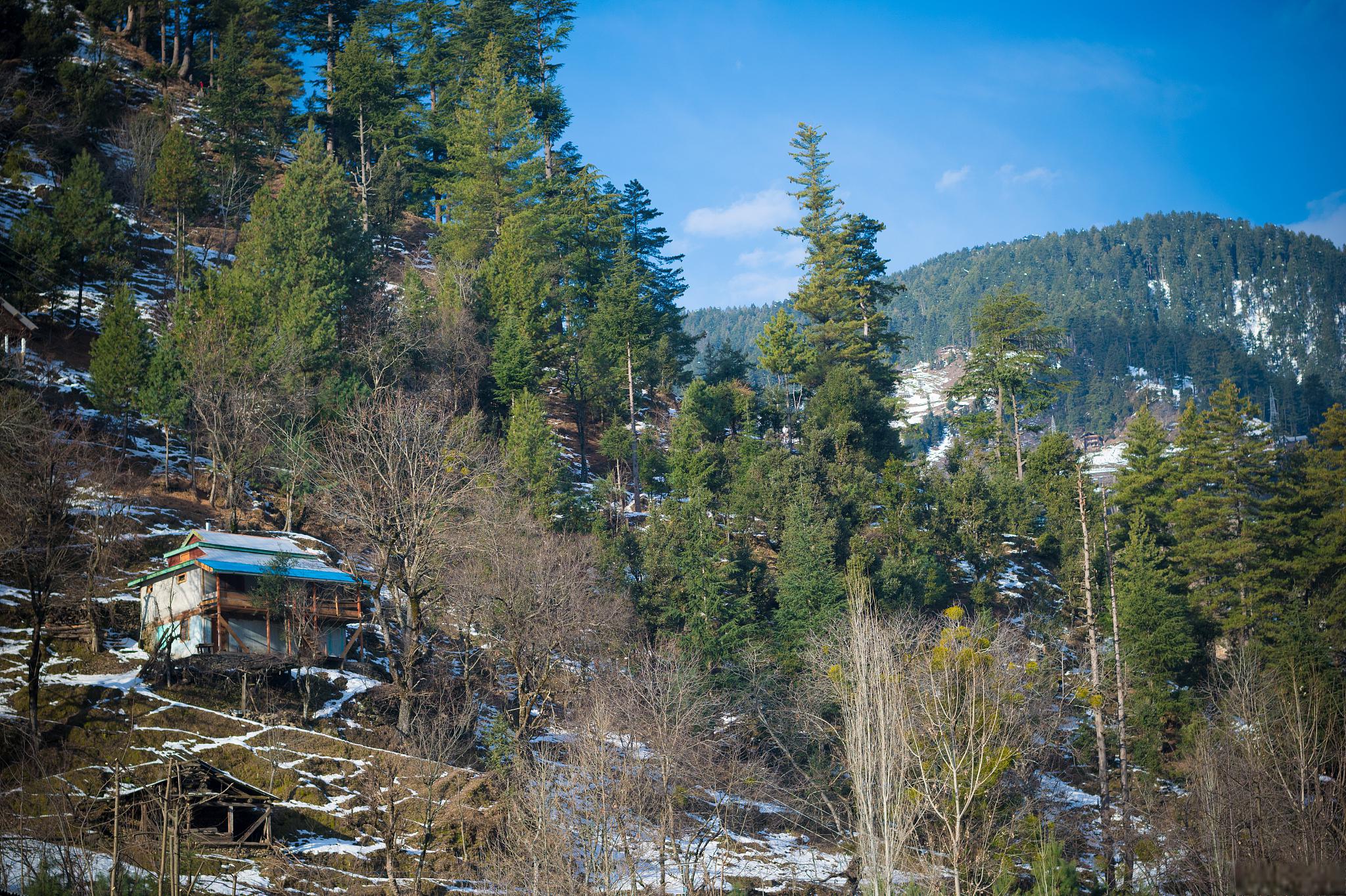 亚东县旅游攻略 亚东县隶属西藏日喀则市,地处喜马拉雅山脉中段,向南