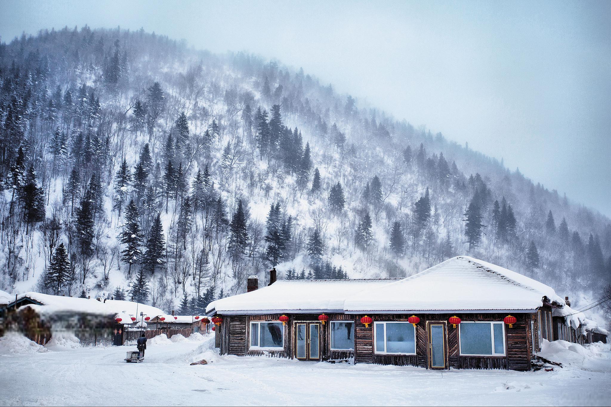 无论是欣赏雪景