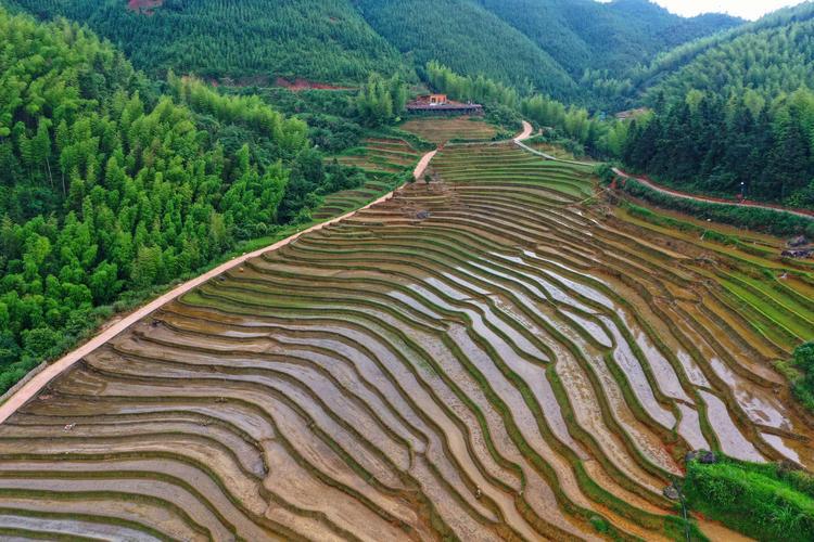 上堡梯田风景区图片