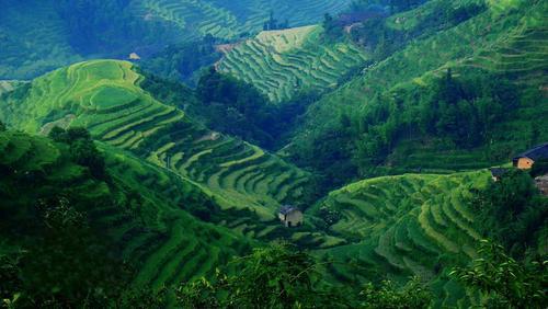 上堡梯田风景区图片