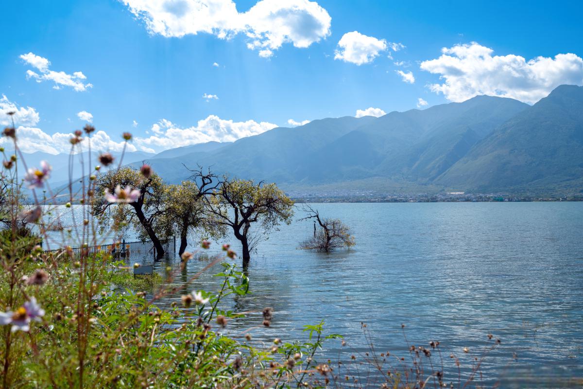 洱海照片风景图片真实图片