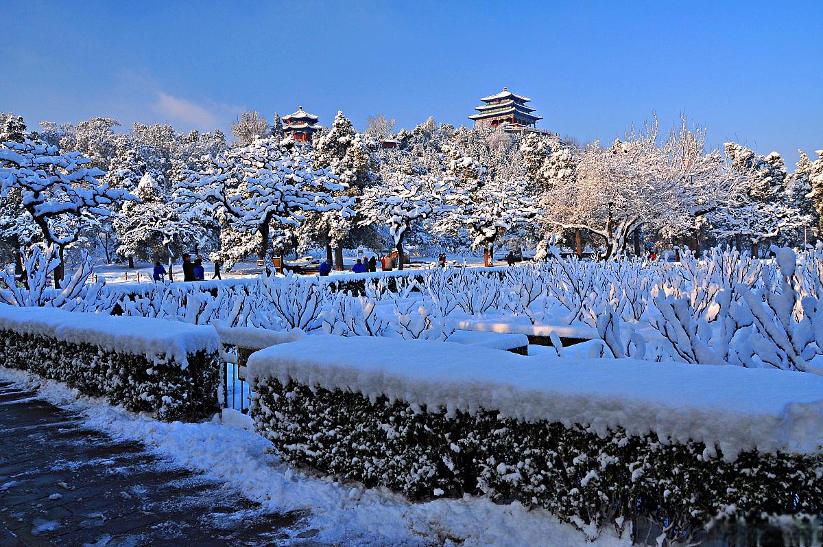 在冬季,香山公园被白雪覆盖,如同一幅银色画卷,呈现出宛如仙境般的