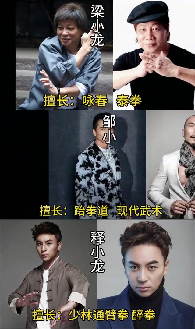 娱乐圈中的武术高手:12位真功夫明星大揭秘 娱乐圈