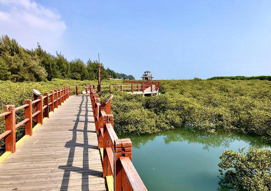 北海金海湾红树林景区图片