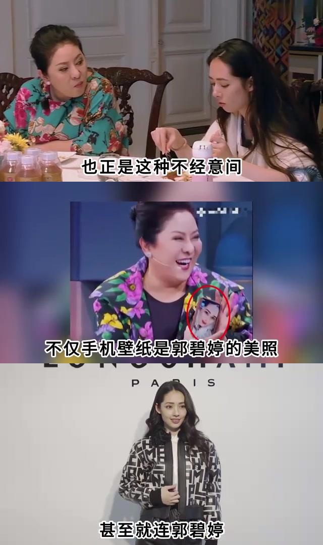 向太郭碧婷参加的综艺图片