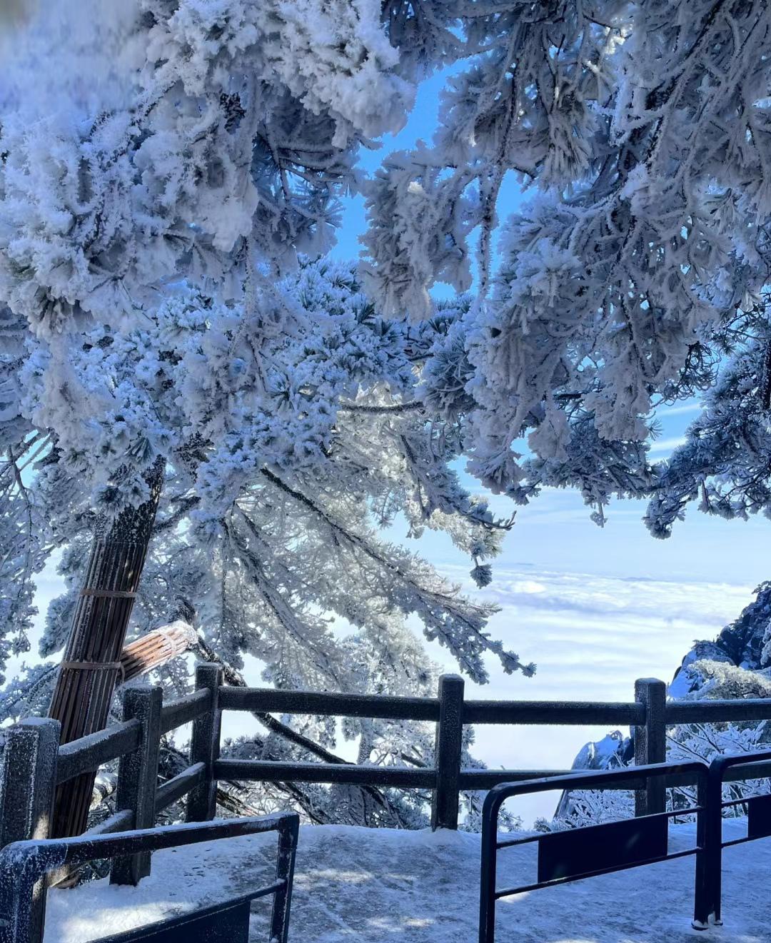 黄山雪景:大自然的神奇 夜幕降临,黄山披上了宁静神秘的纱衣,仿佛一位